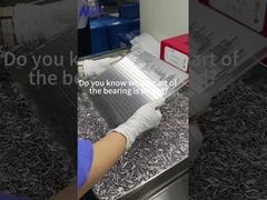 Đánh giá phần nào của vòng bi được thử nghiệm?